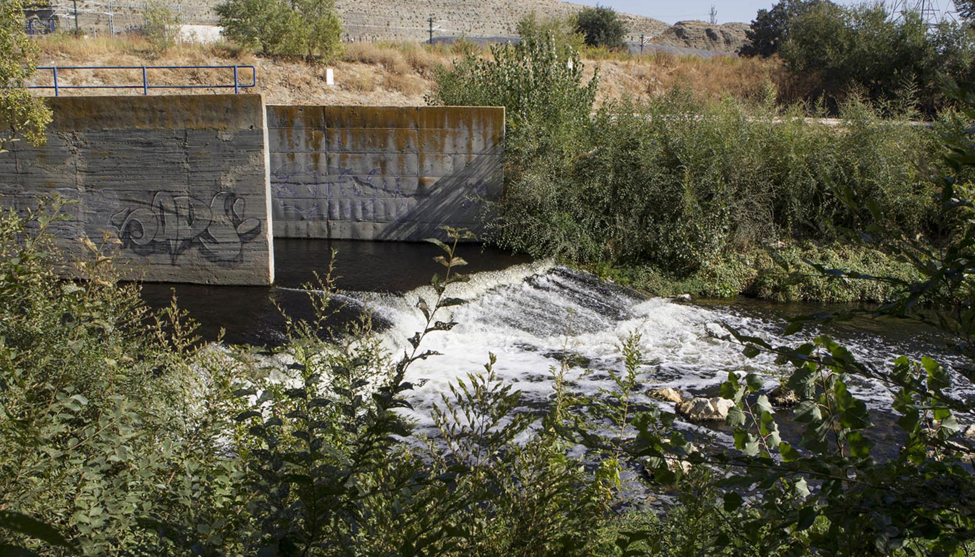 Vertido de aguas de la depuradora de La Gavia.