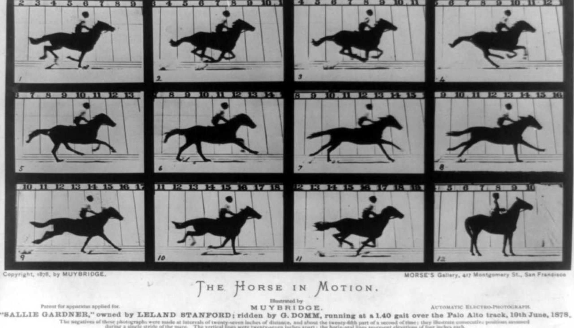 El caballo en movimiento. Muybridge