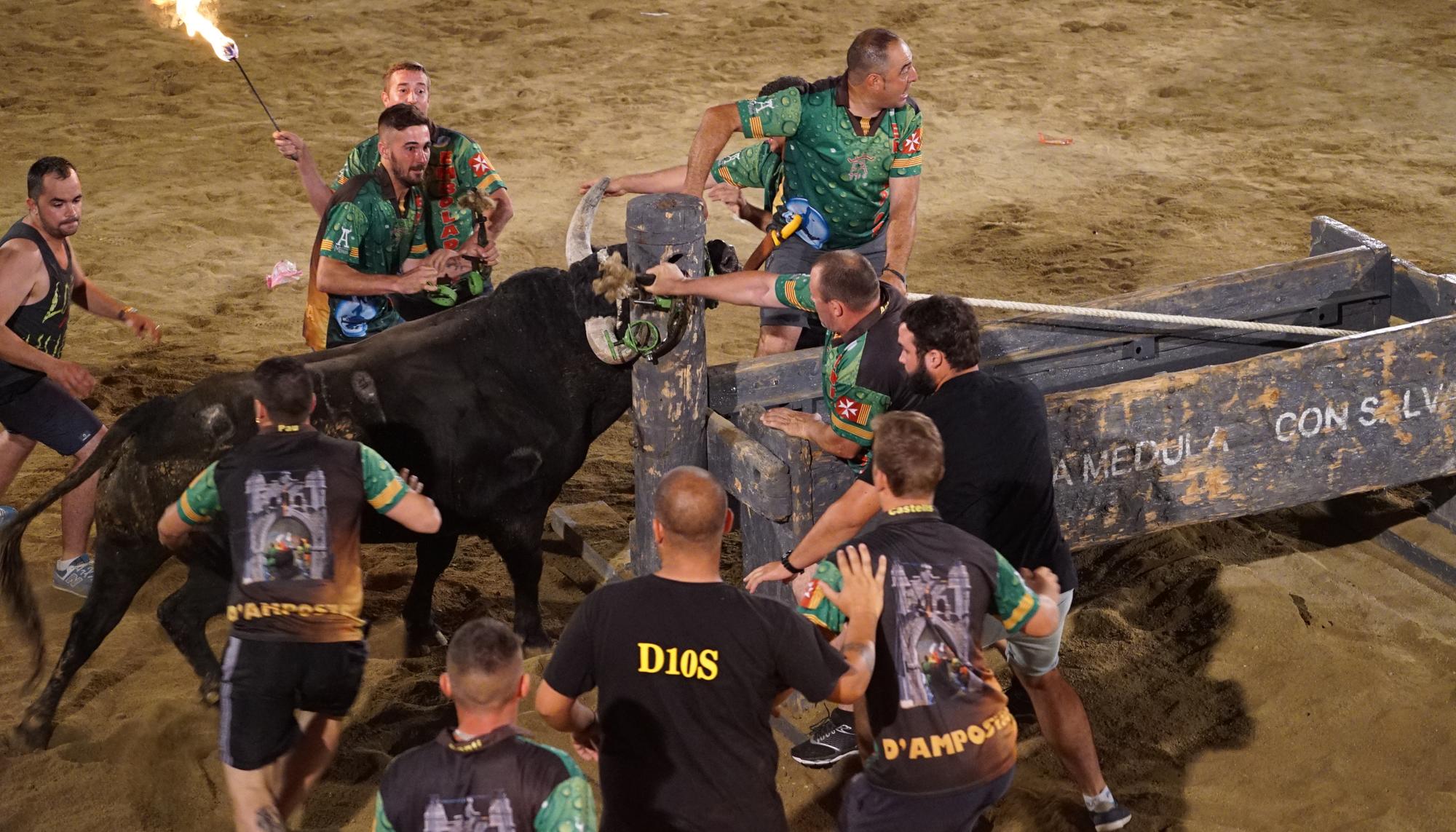 Acosando al toro