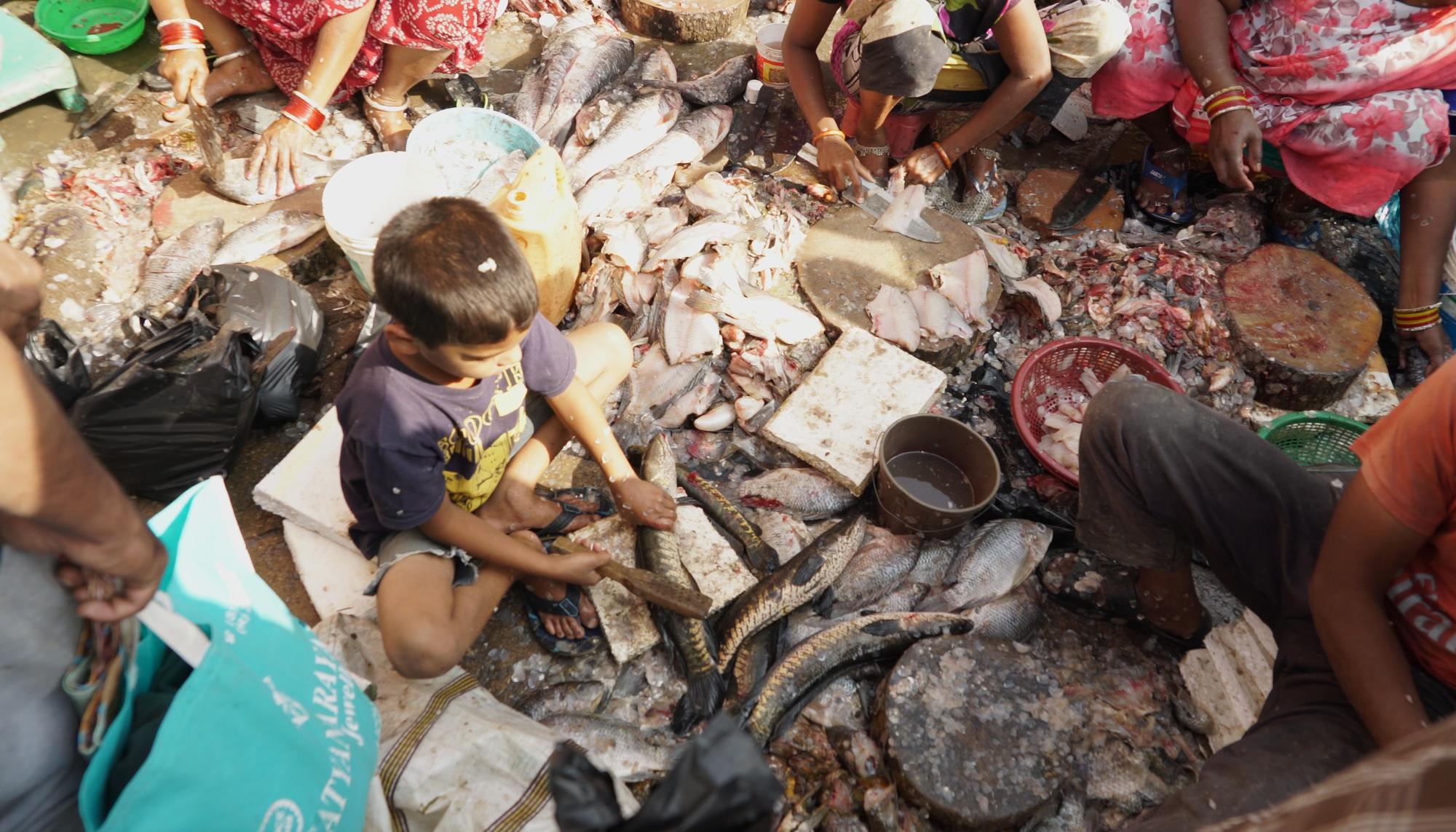 Mercado de animales vivos en India