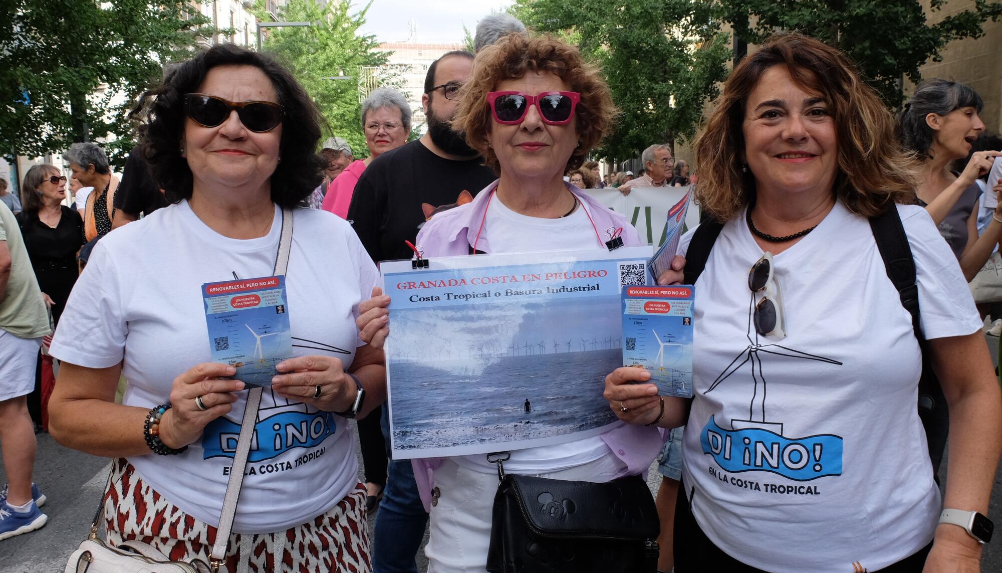 Mani 8J renovables portada