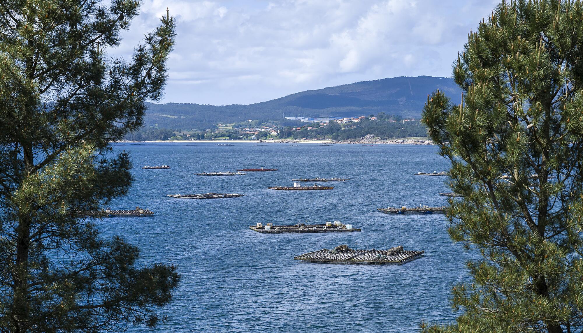 Galicia Abril 25 - 10