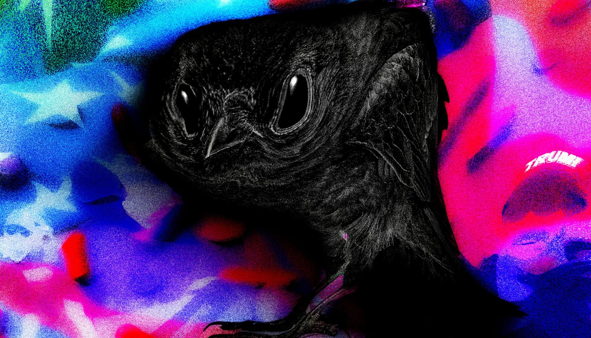 Psicodélicos, patentes trumpismo