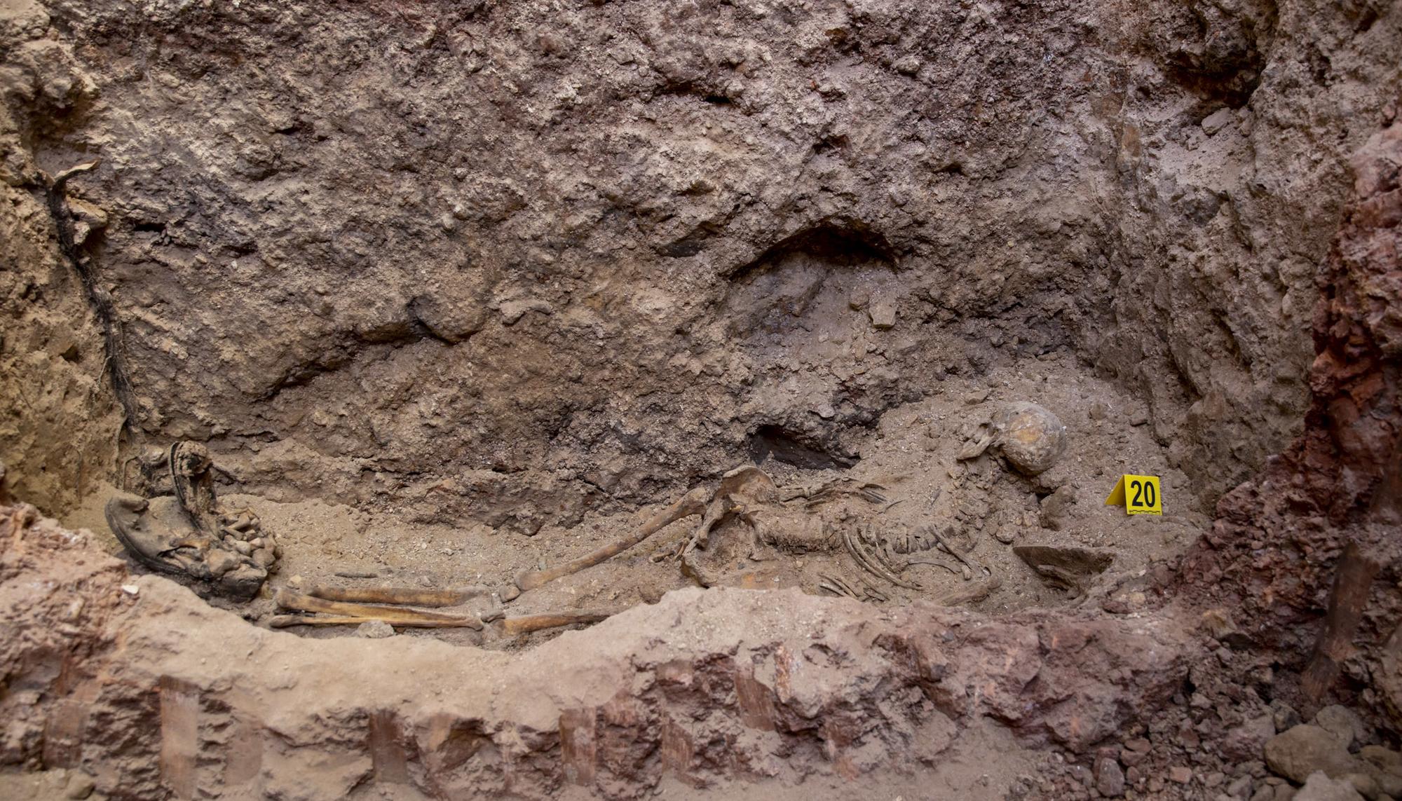 Exhumación de Manzanares en Ciudad Real - 16