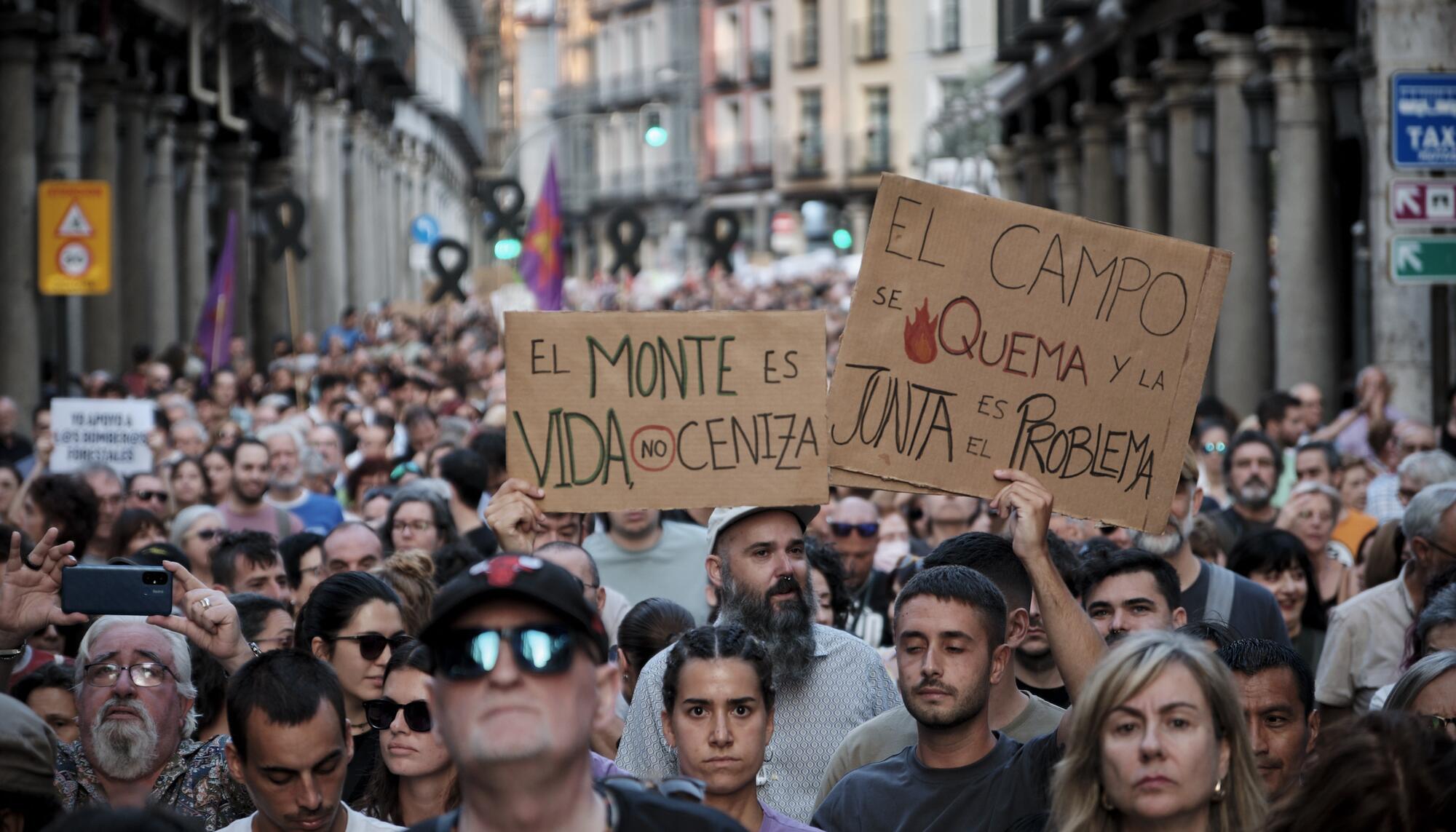 Manifestación Valladolid 20 de agosto Incendios Galeria - 9