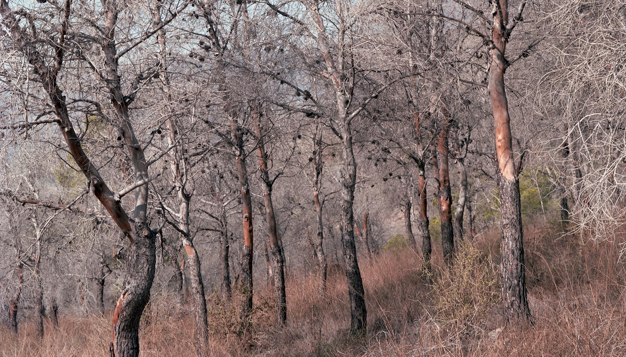 Árida: crisis climática y desertificación en el sureste ibérico - 7