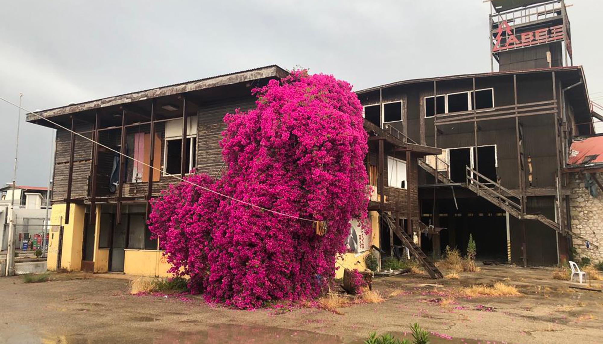 Casa ocupada migrantes