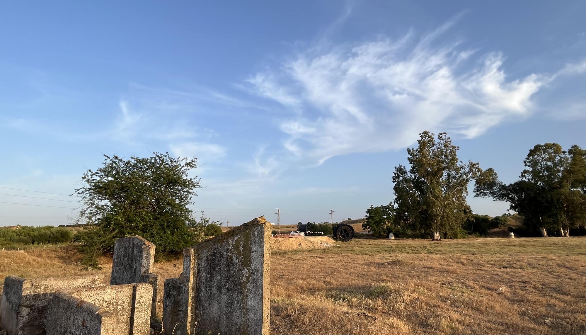 Los Merinales 1