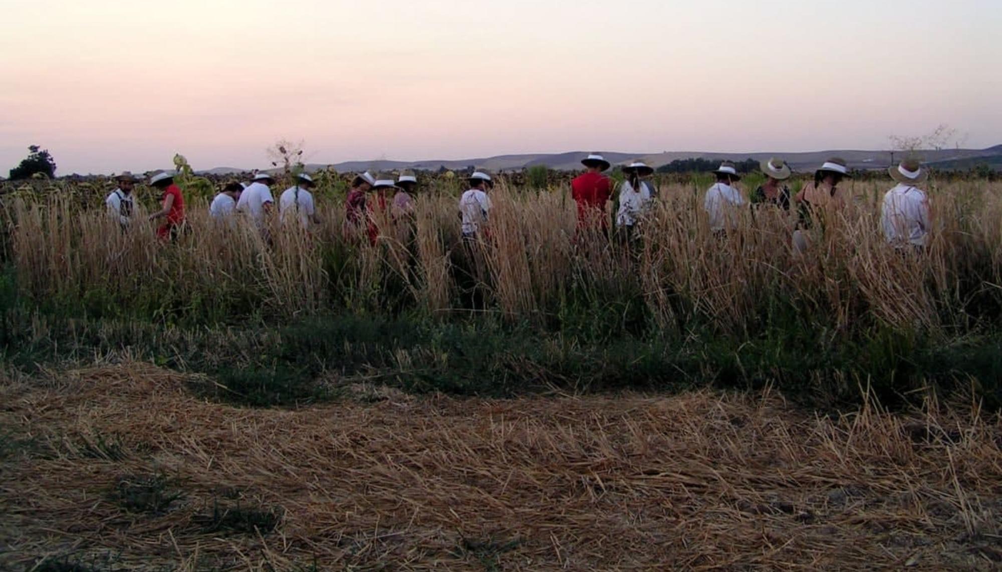 Inicio de la agroperformance Pan, al amanecer.