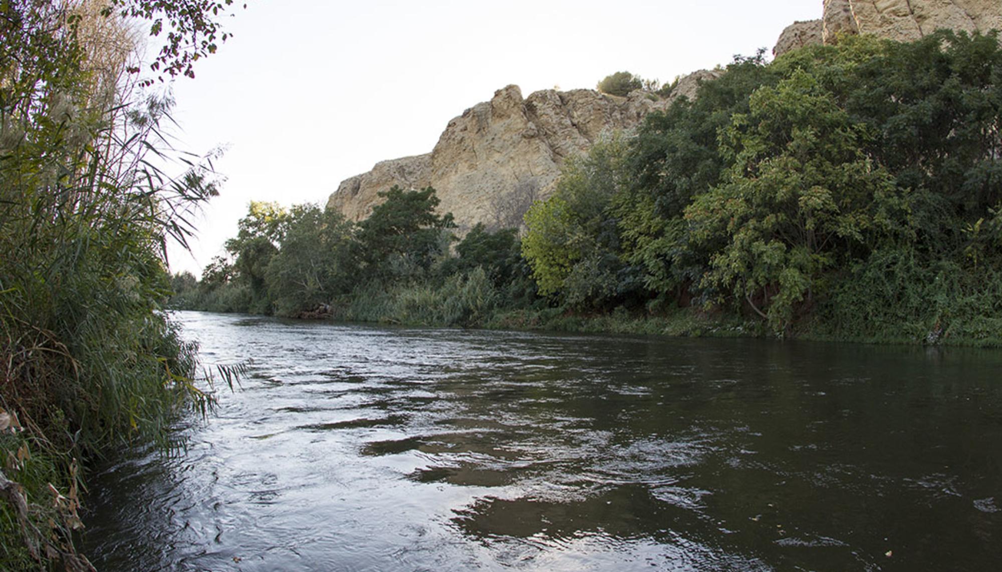 El río, bordeando los cortados de La Marañosa, metros antes de su desembocadura en el Jarama.