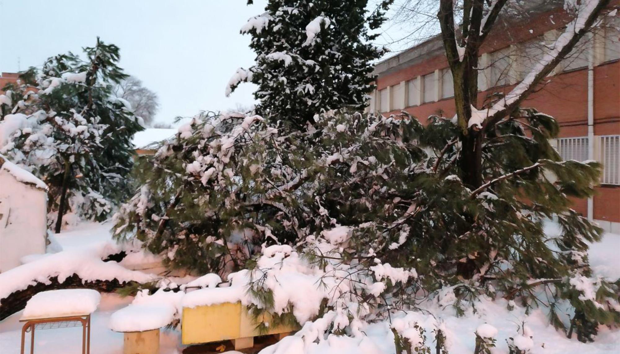 Colegio Nevado