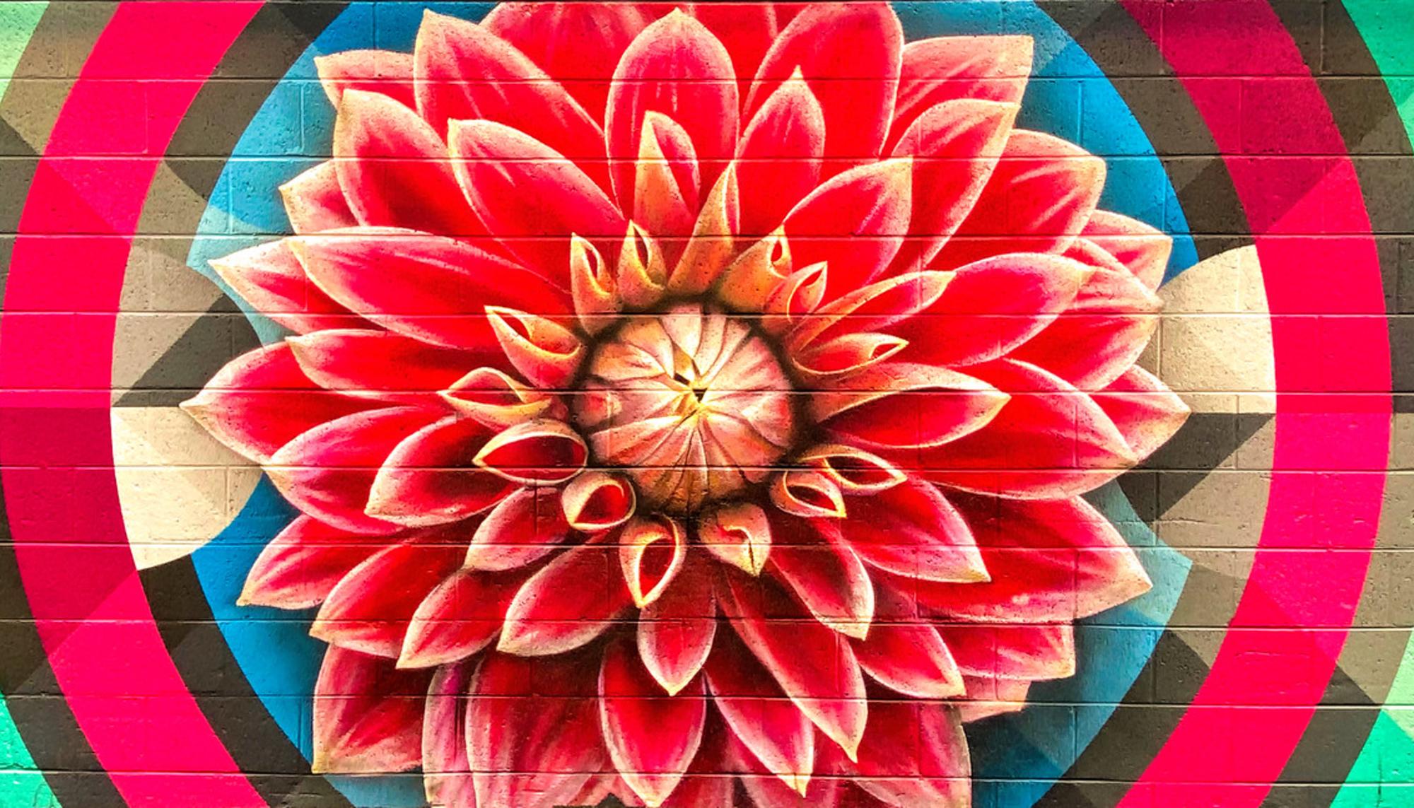terence faircloth flower