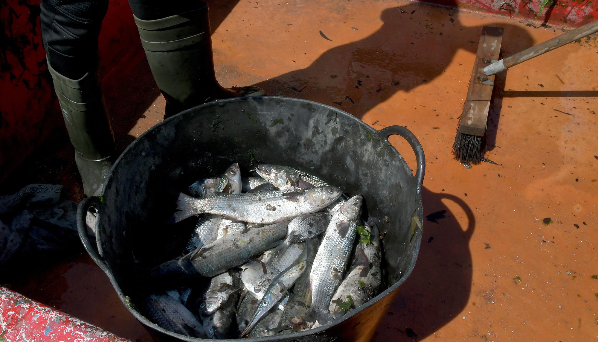 Captura de un grupo de pescadores.