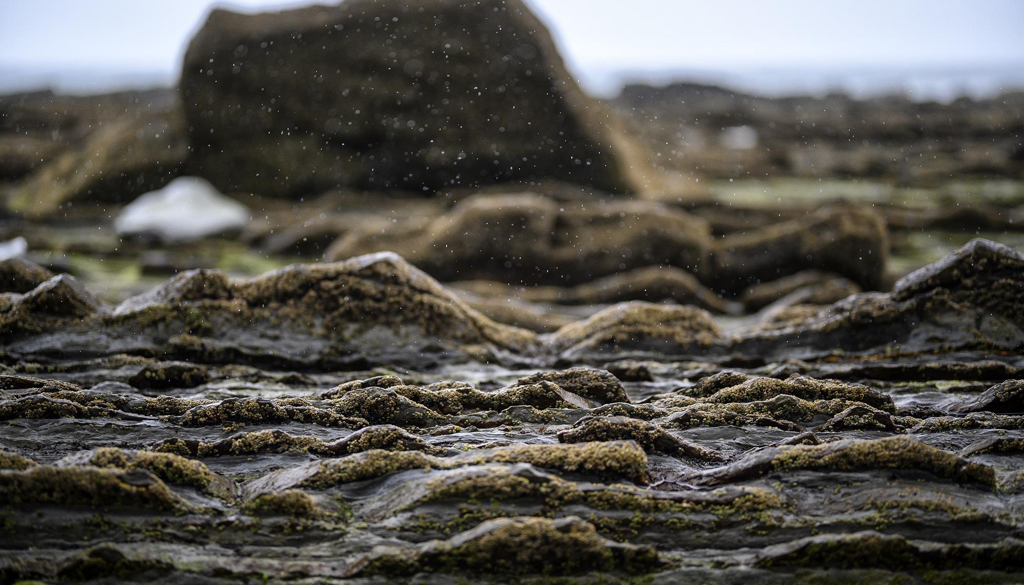 Lluvia en los flysch