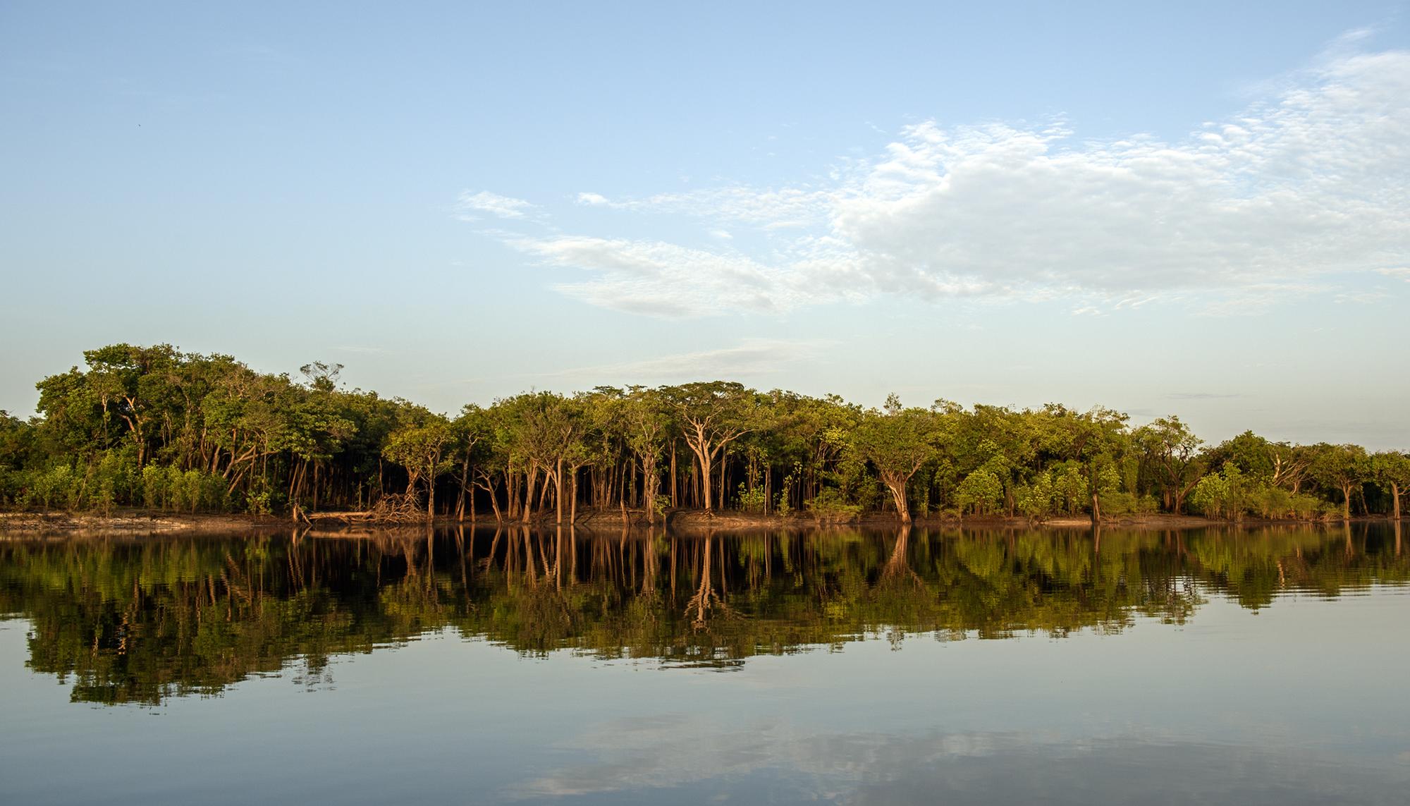 Amazonas rio - 2