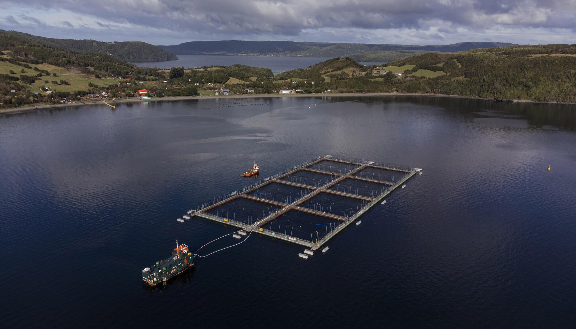 Salmoneras Chile  - 1