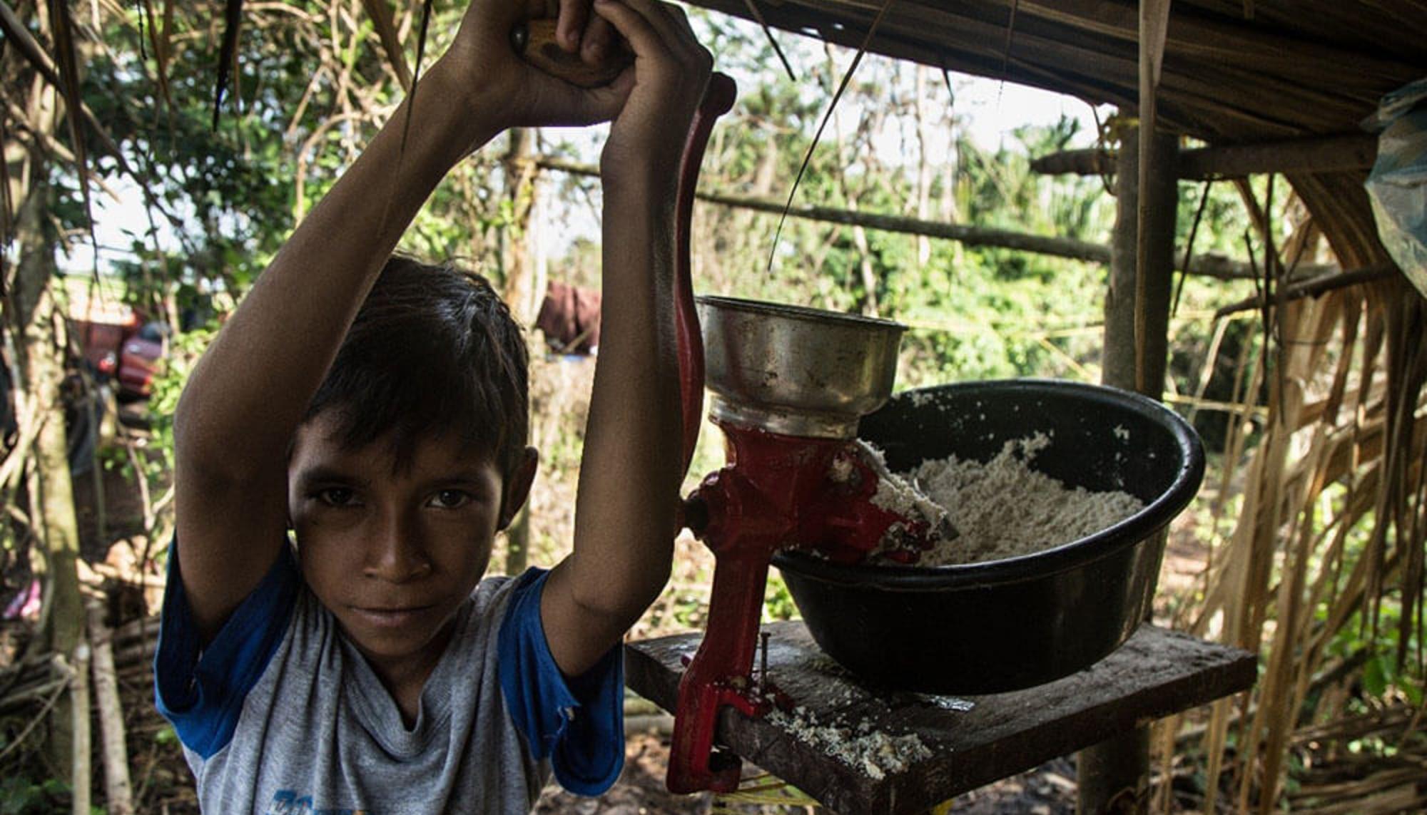 Un niño ayuda en la preparación de los alimentos