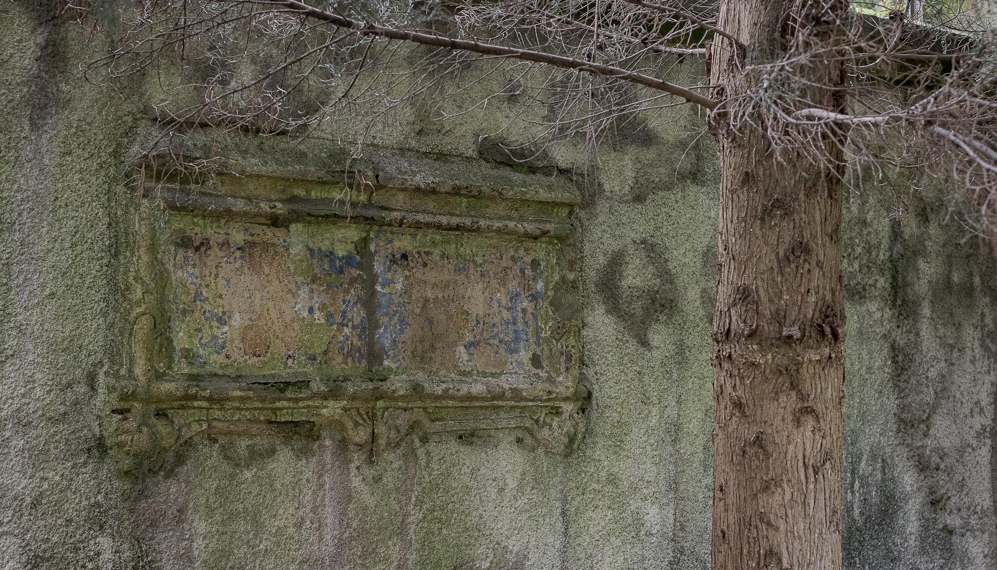 Exhumación en el cementerio de Begoña 10