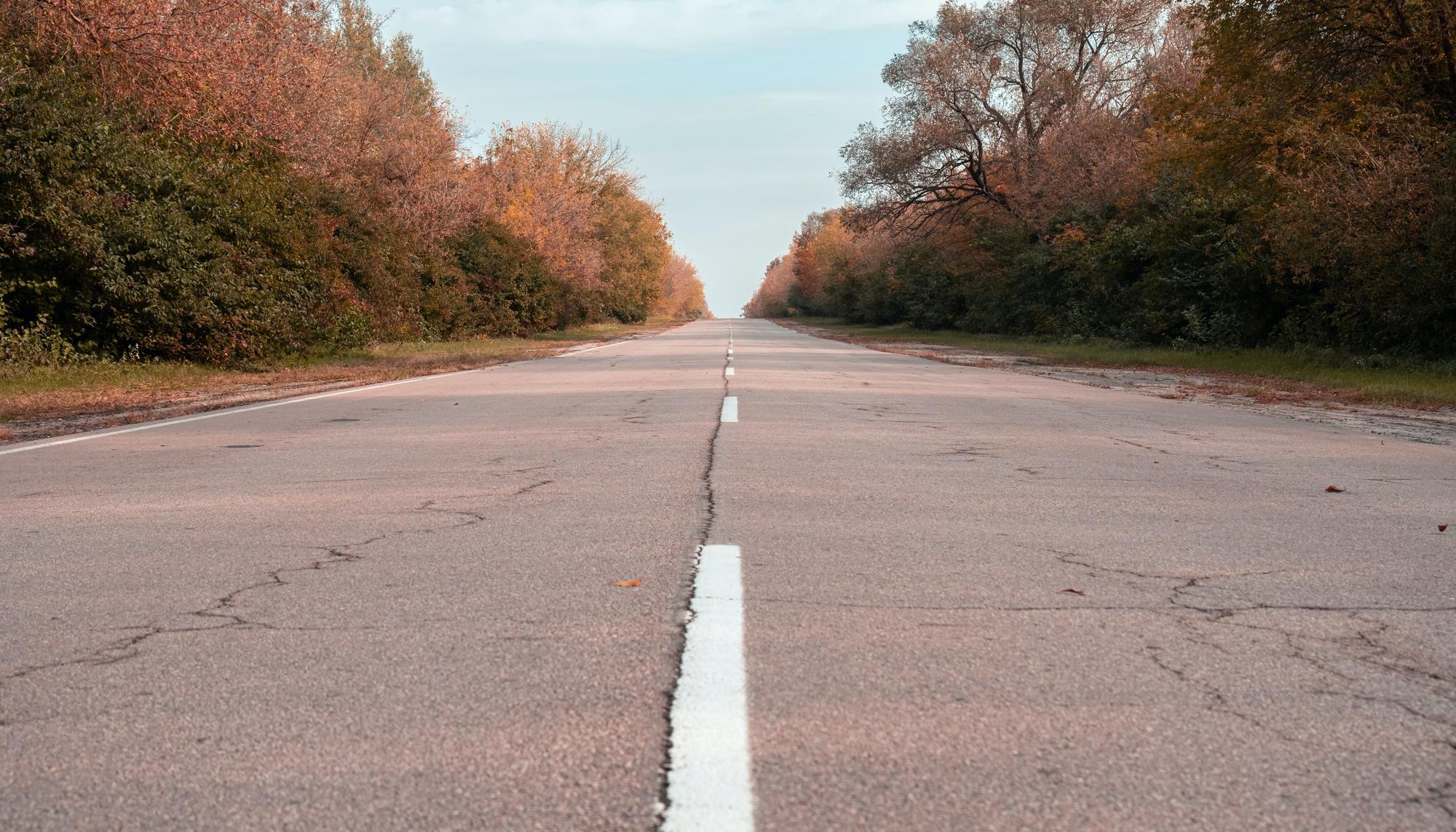 Un largo camino