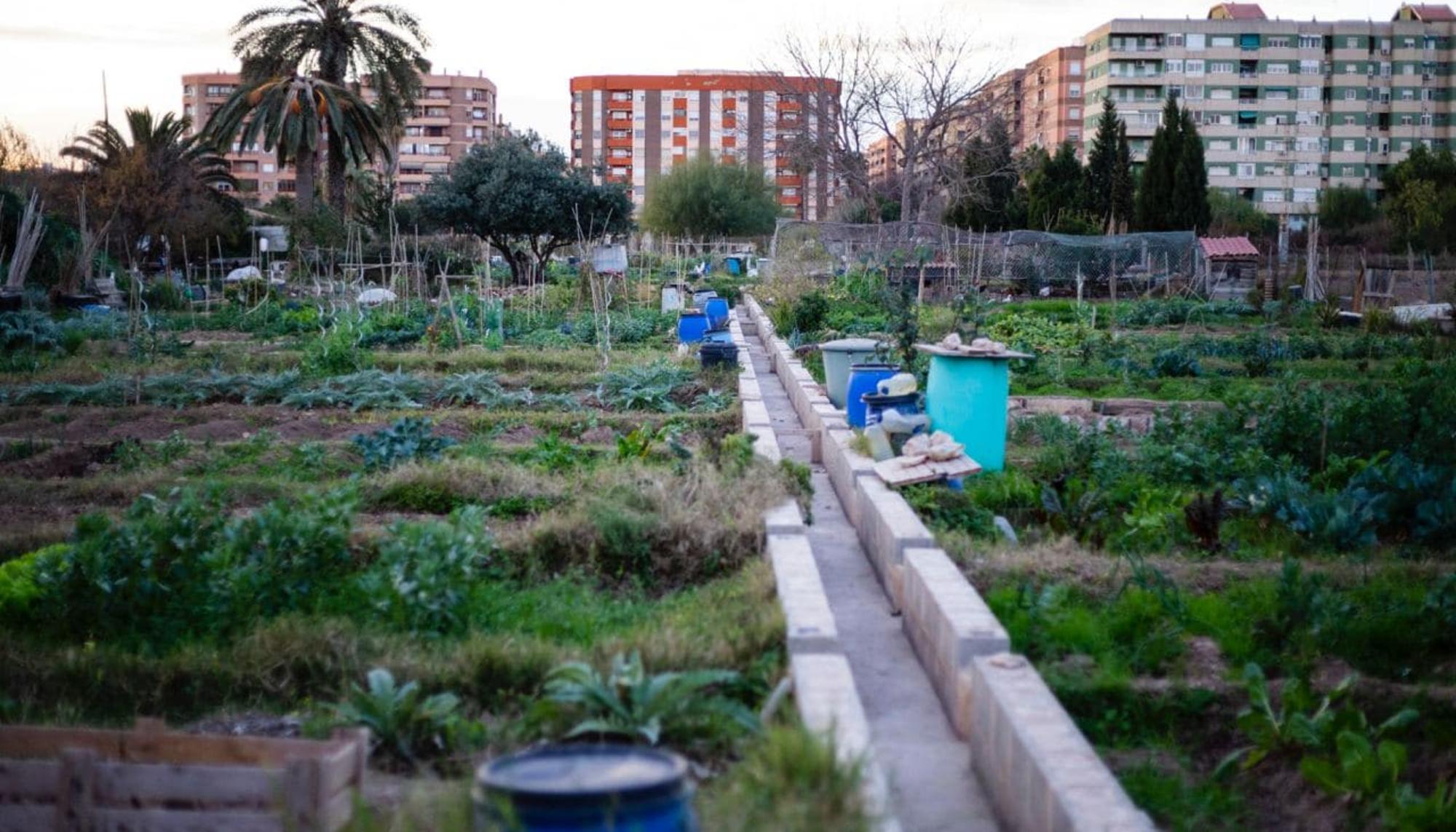 huerto urbano horta valencia