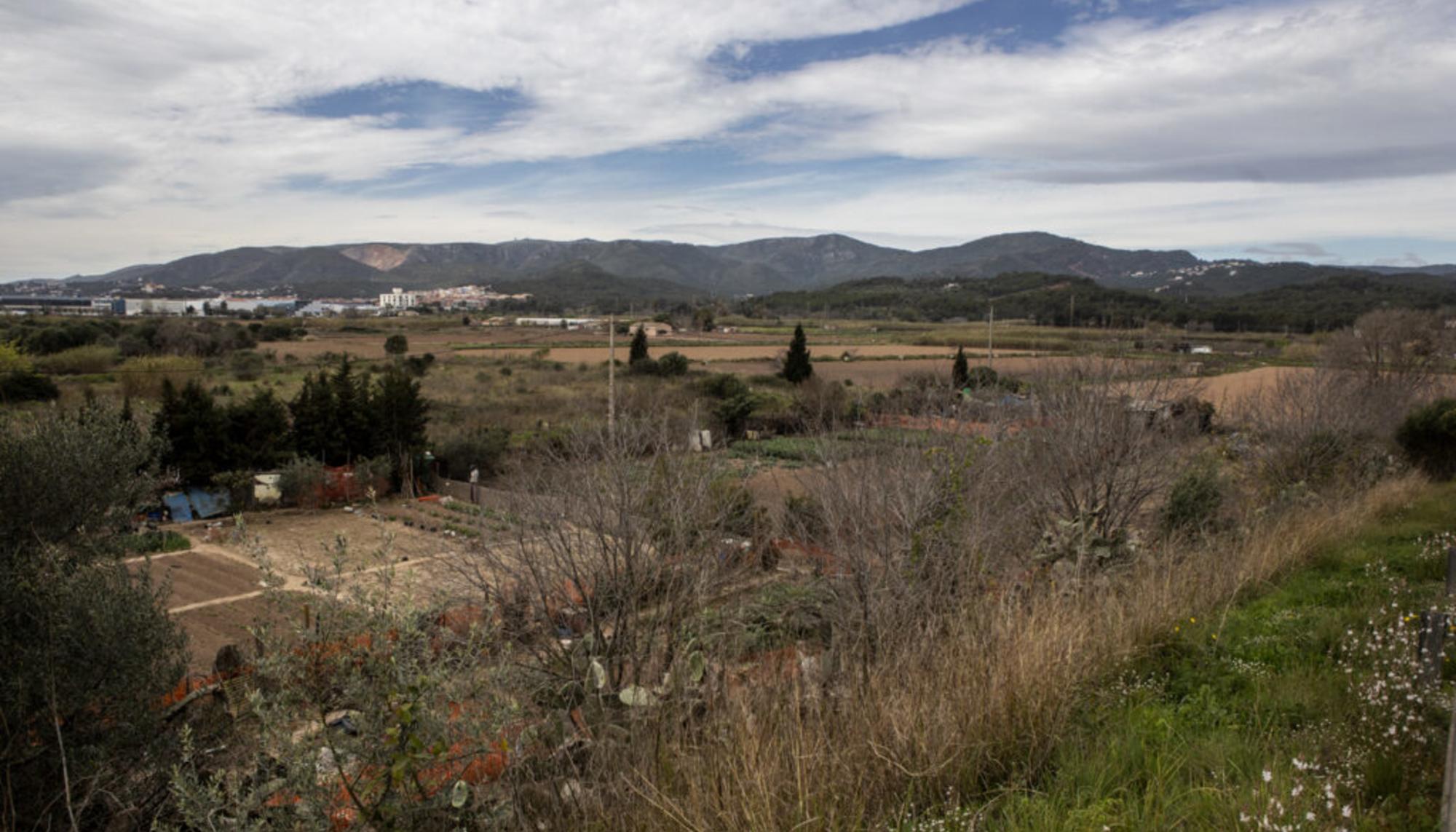Zona afectada Pla de Ponent