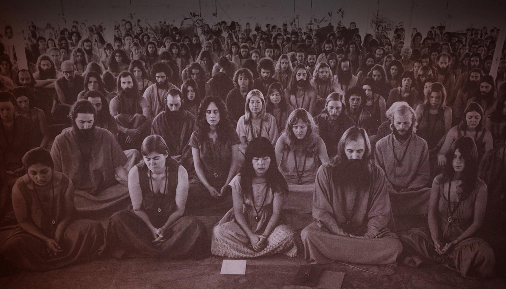 Wild Wild Country
