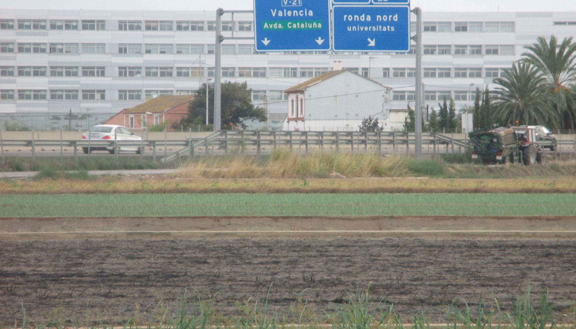 La huerta valenciana amenazada por el proyecto de ampliación de la V-21 a la altura de Alboraia
