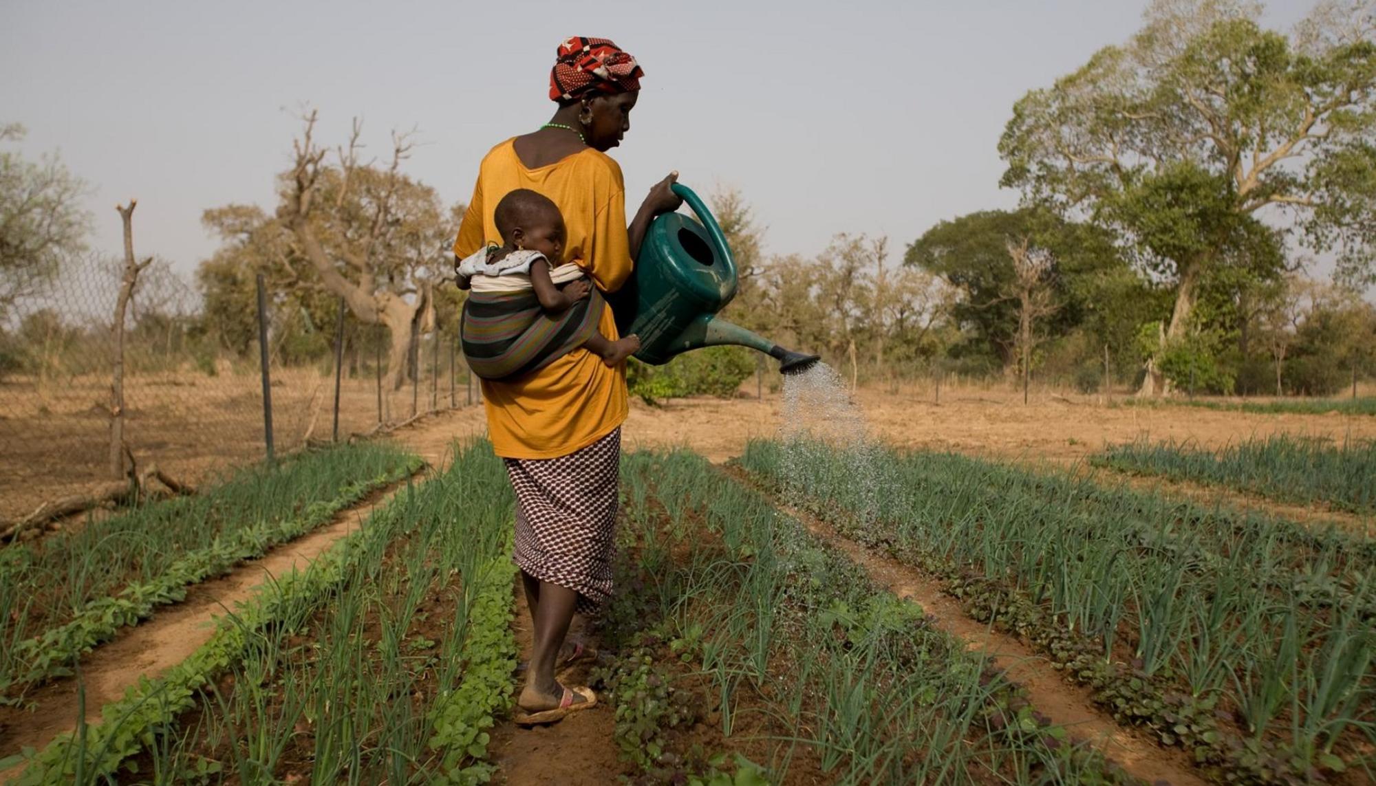 Burkina Faso mujer cambio climático
