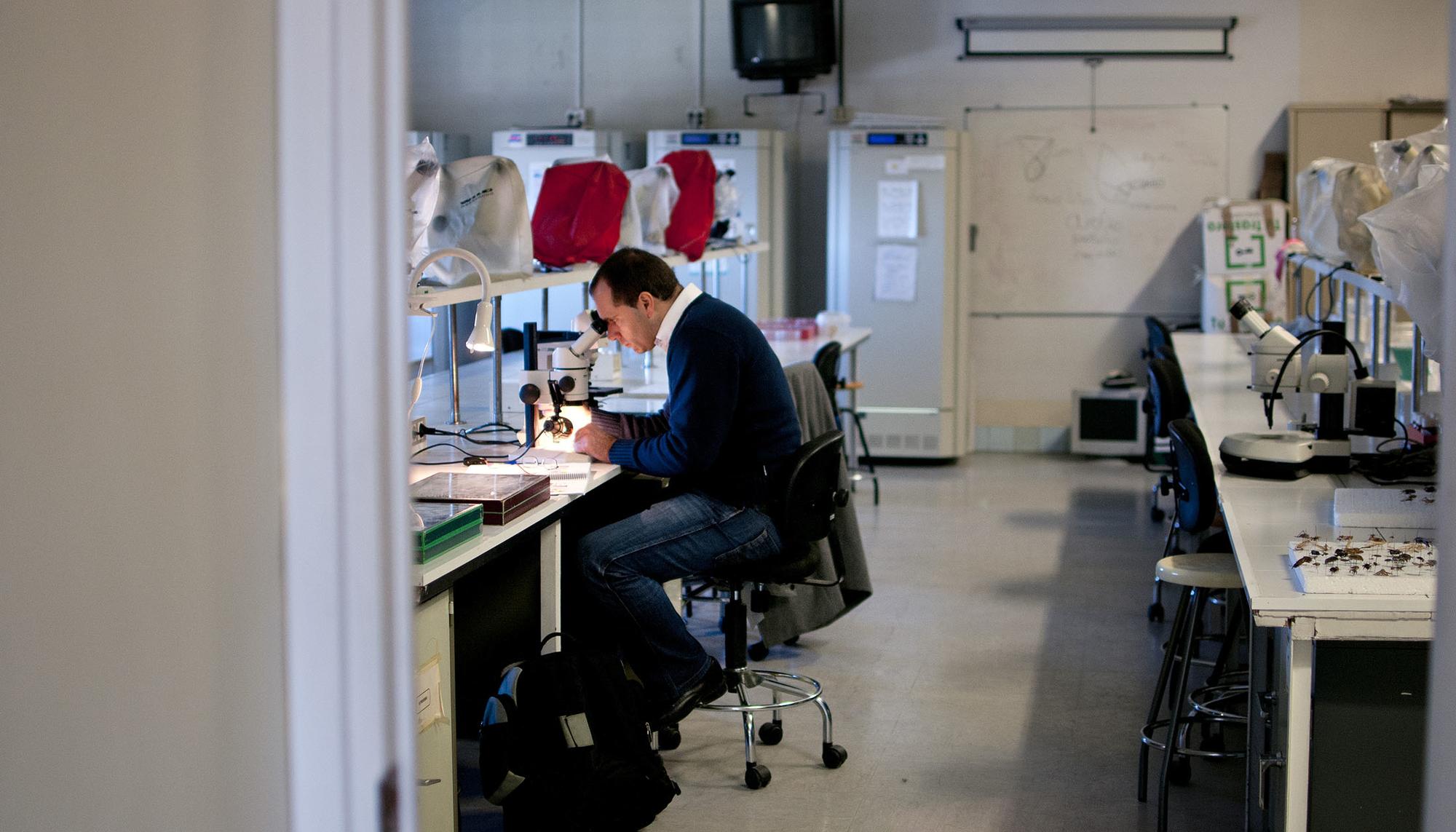 Laboratorio CSIC