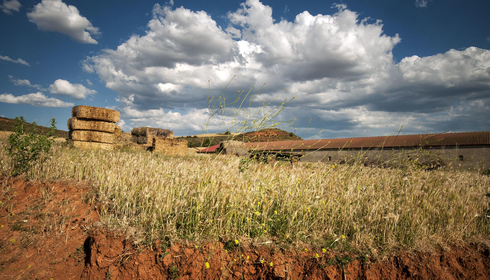 Campo y medio rural