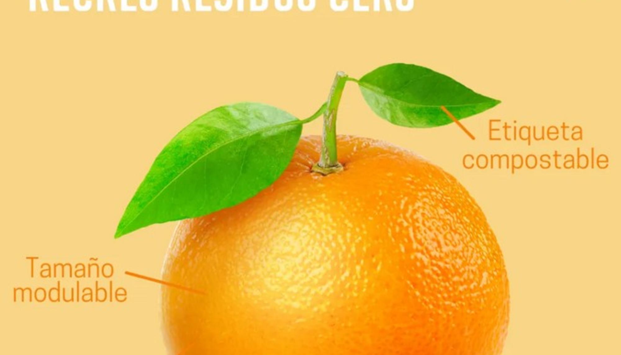 Recreos residuo cero