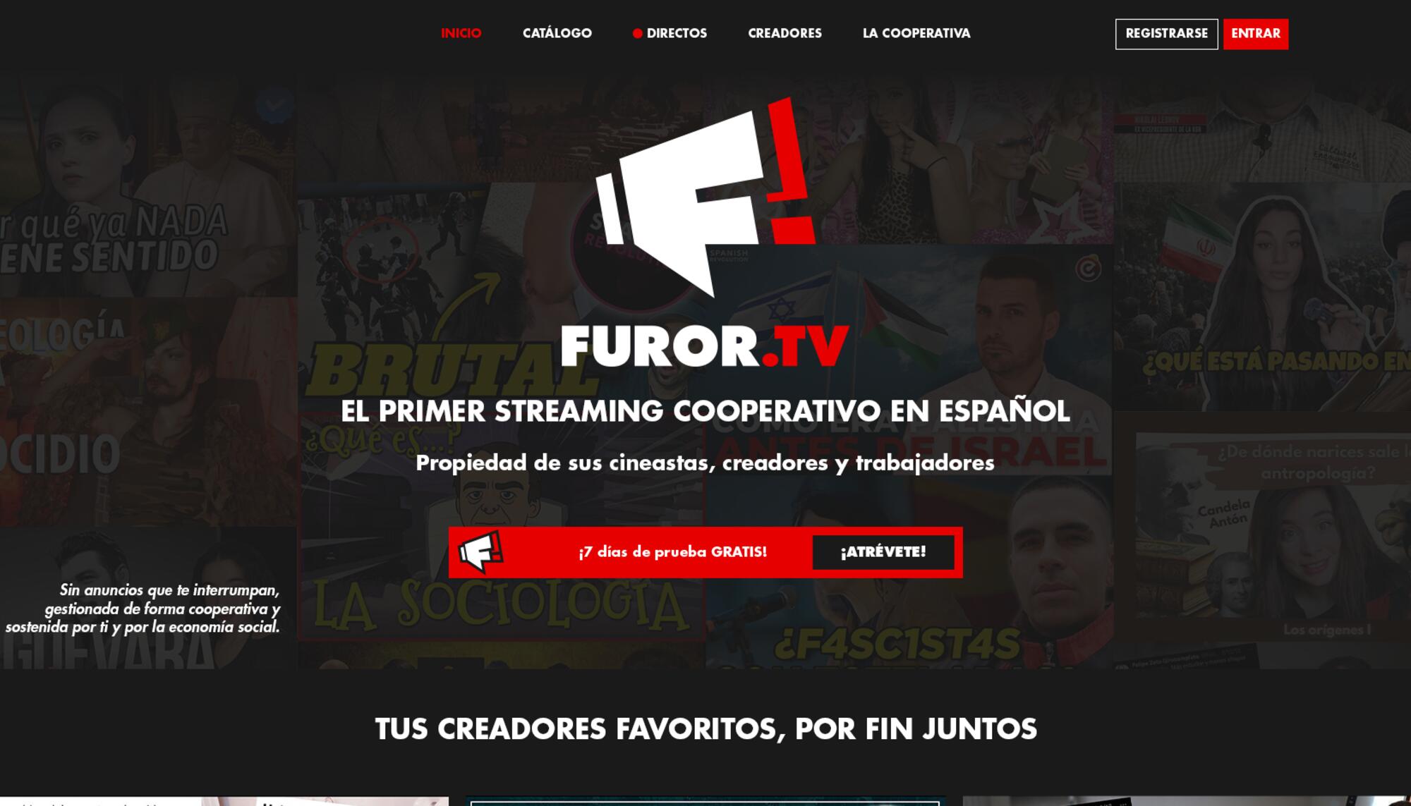 Furor TV
