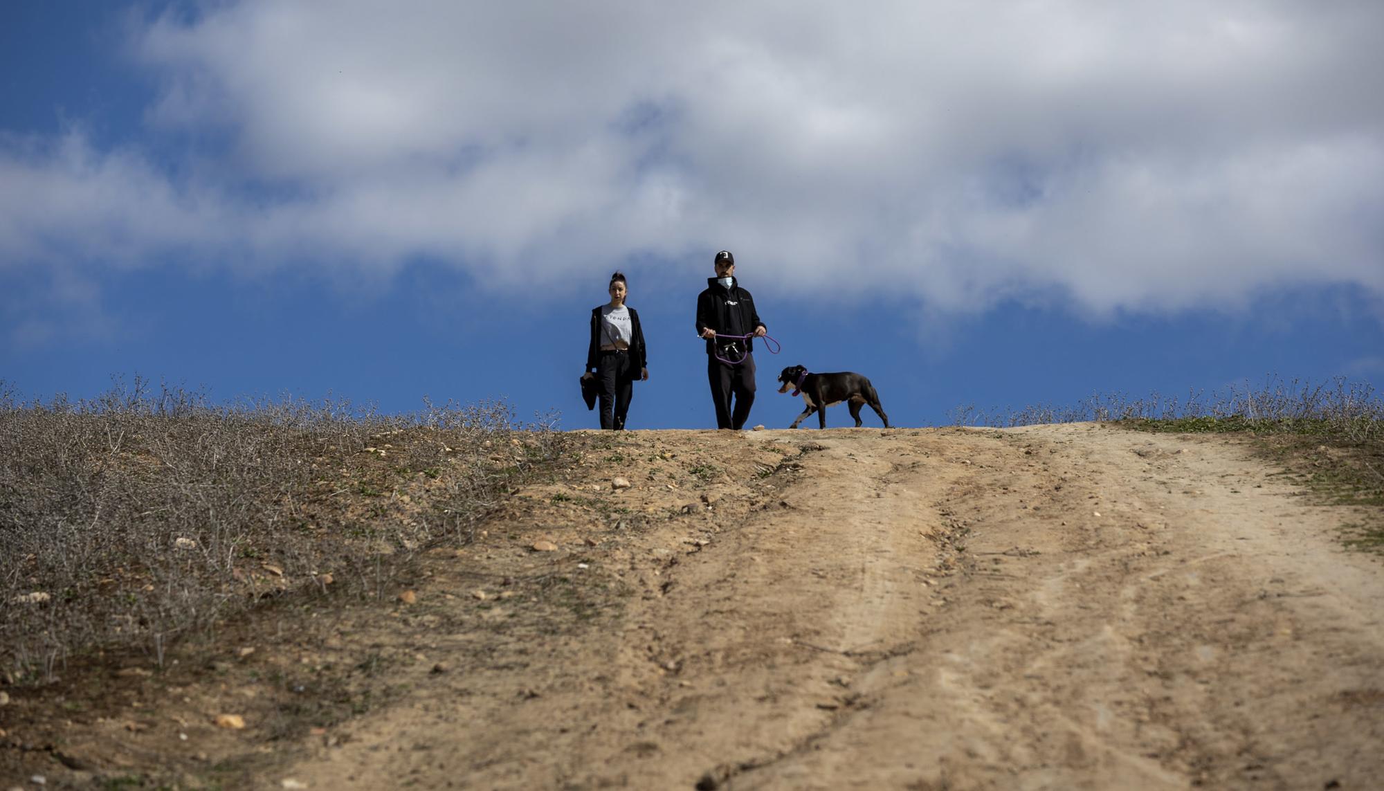 Pareja perro