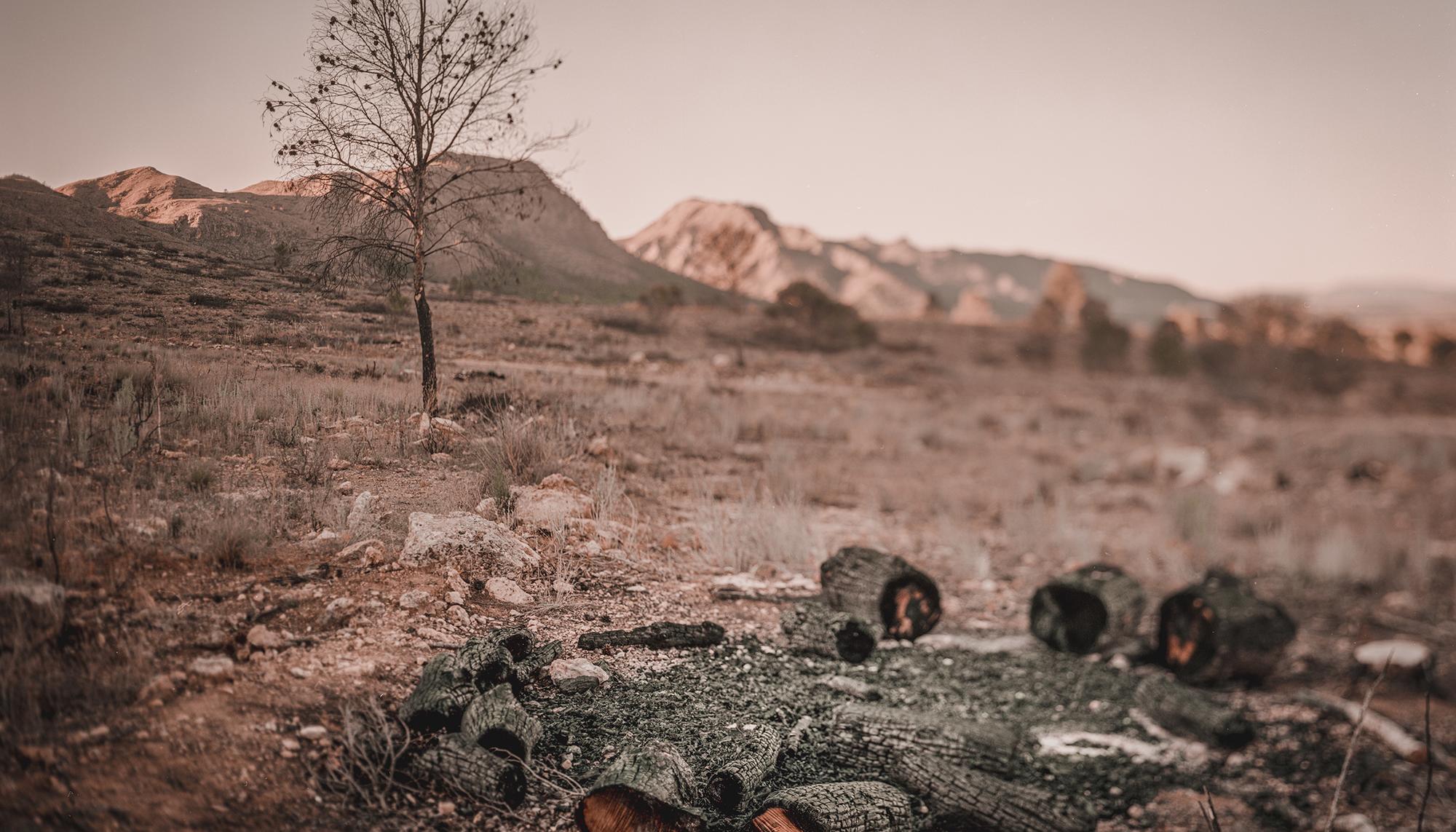 Árida: crisis climática y desertificación en el sureste ibérico - 1