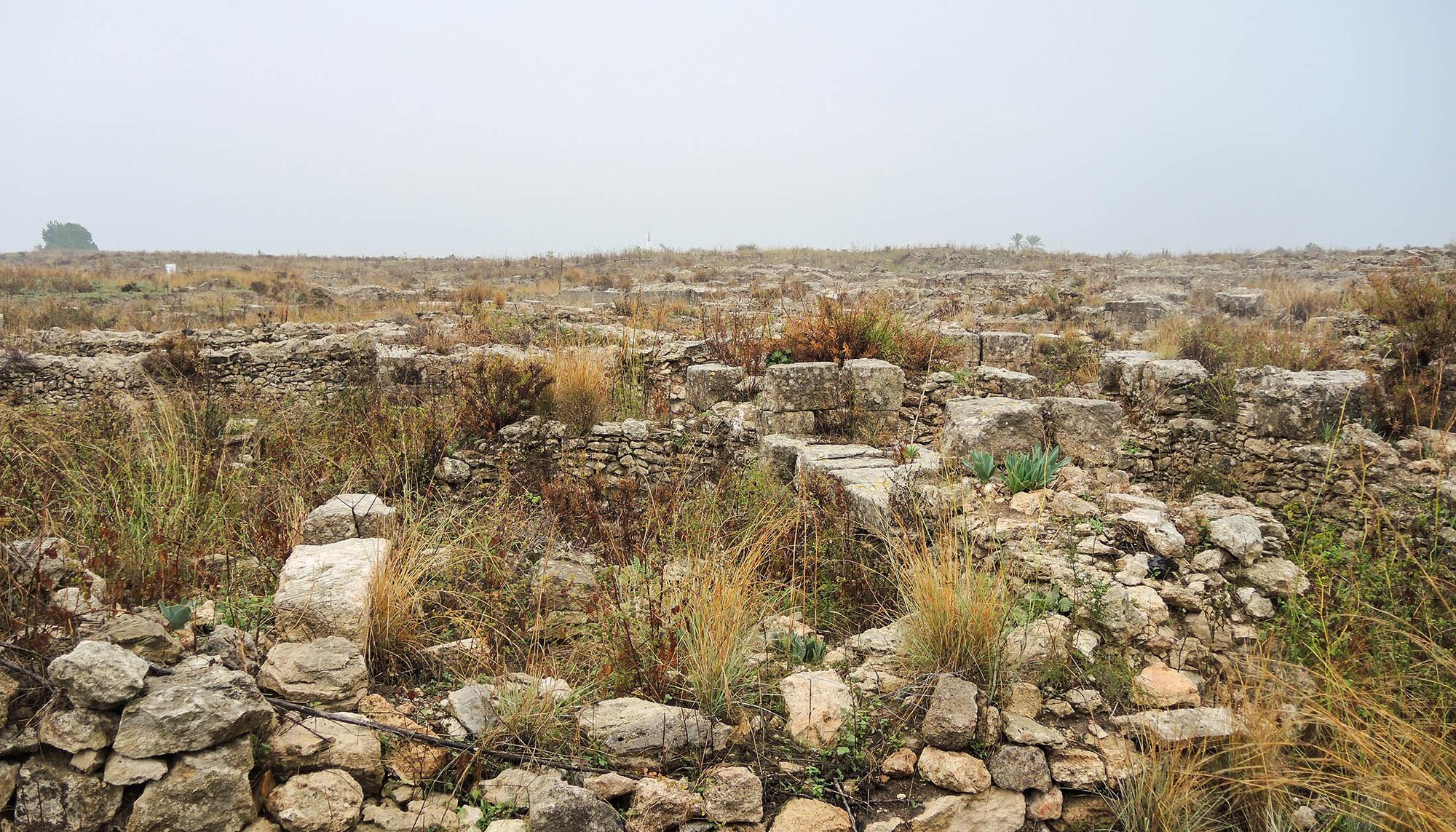 Siria Nuria Vila - 2