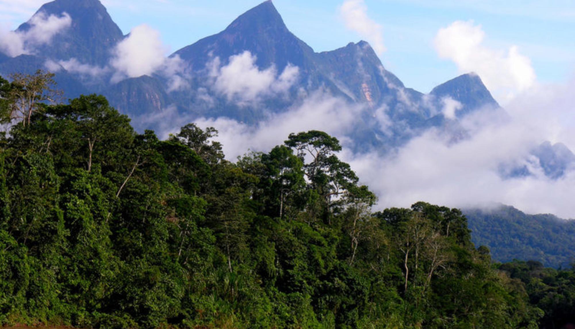 amazonas_peruano