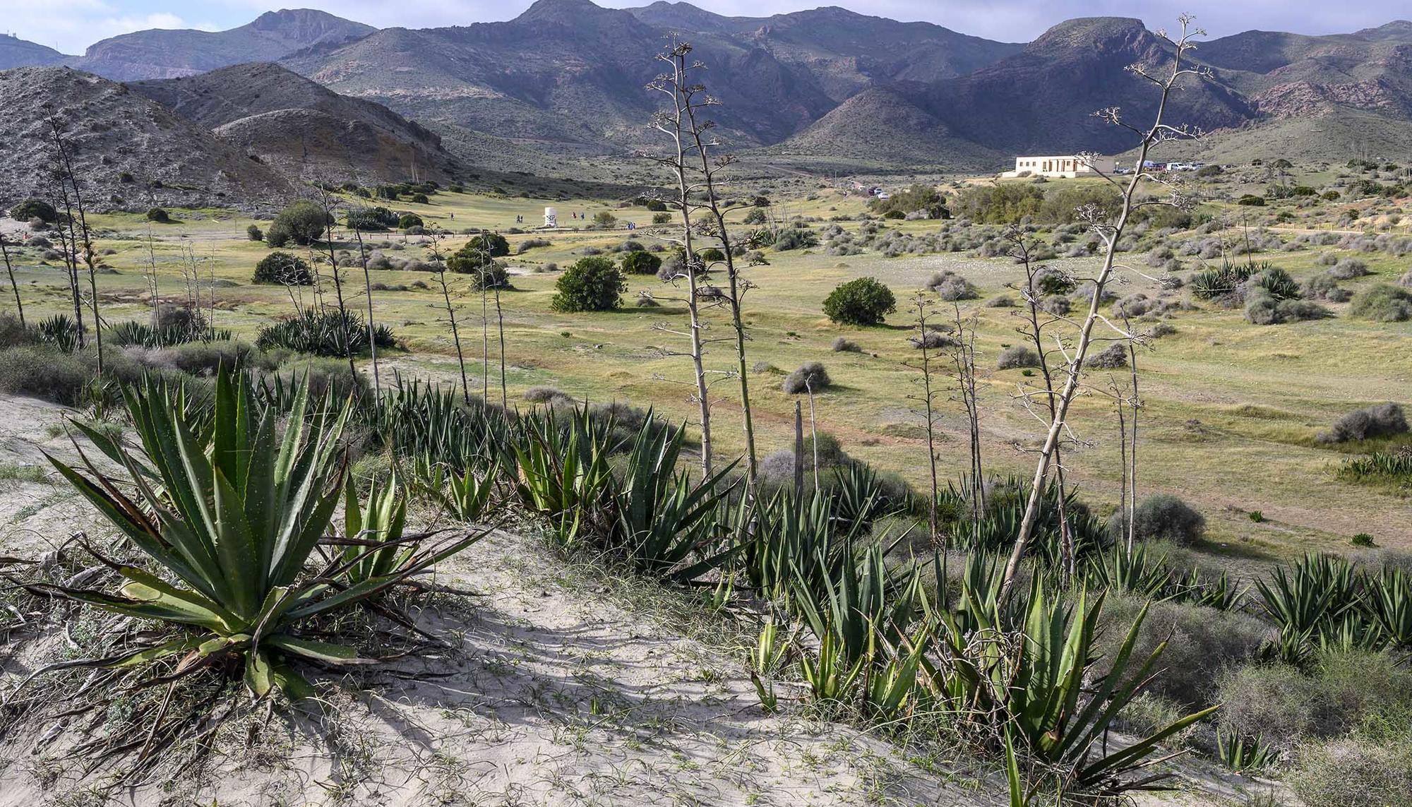 El ladrillo que araña el Cabo de Gata - 8