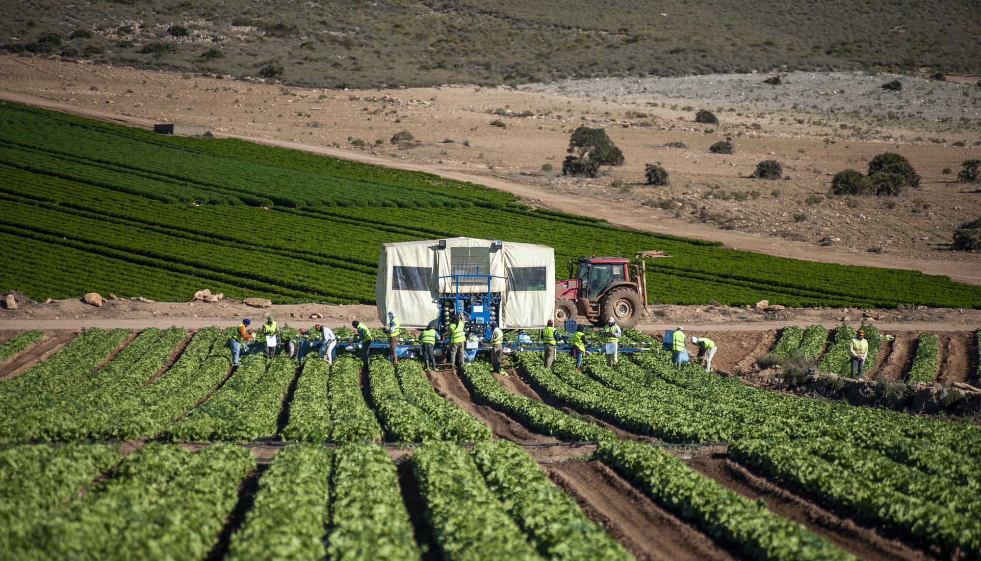 Agricultura