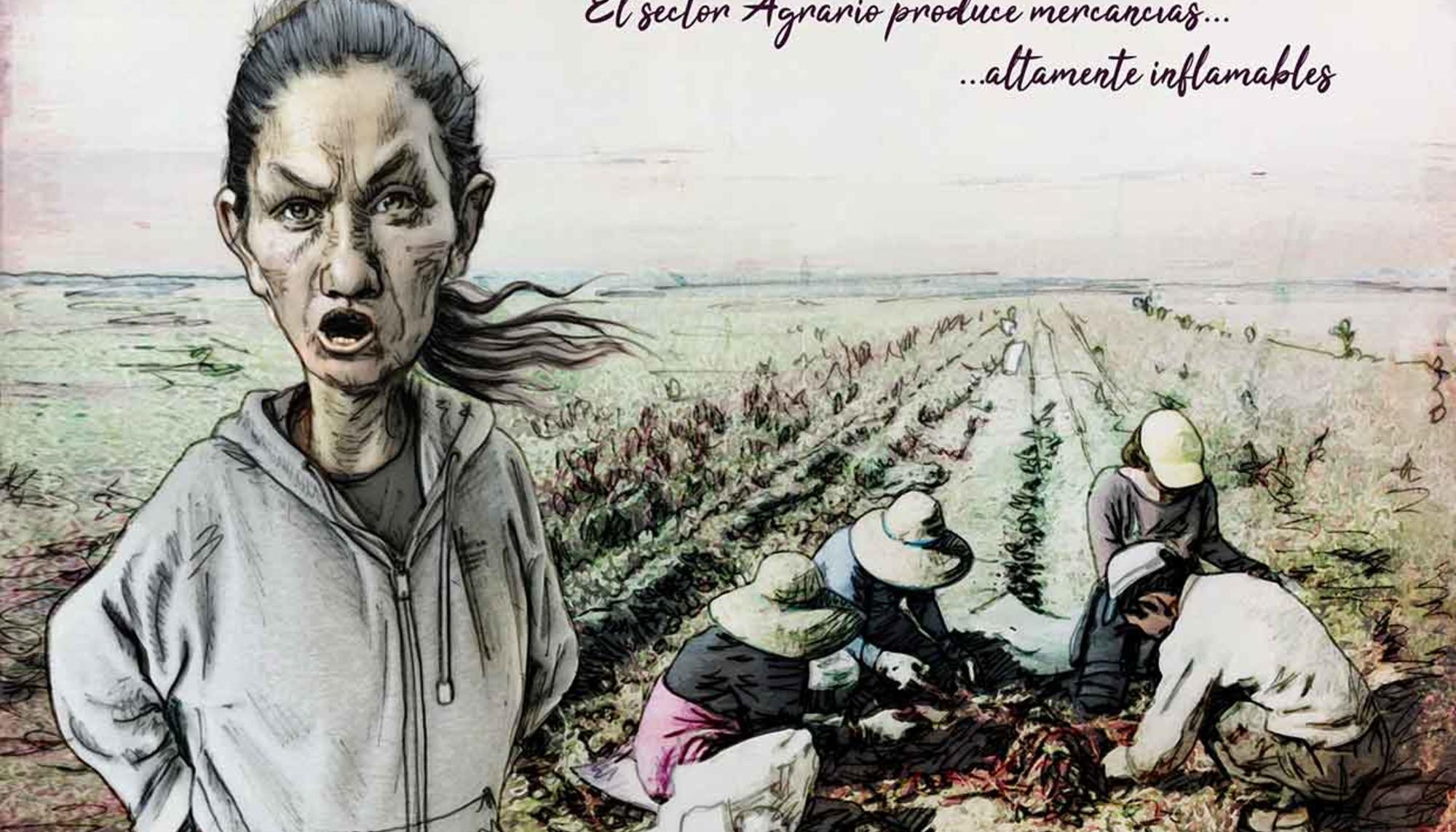 Agricultores. Campo