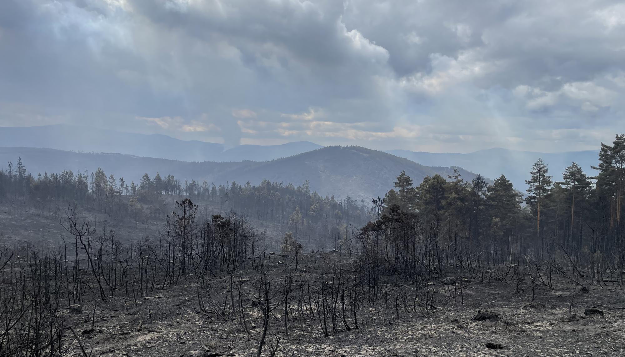 Incendios Courel - 9