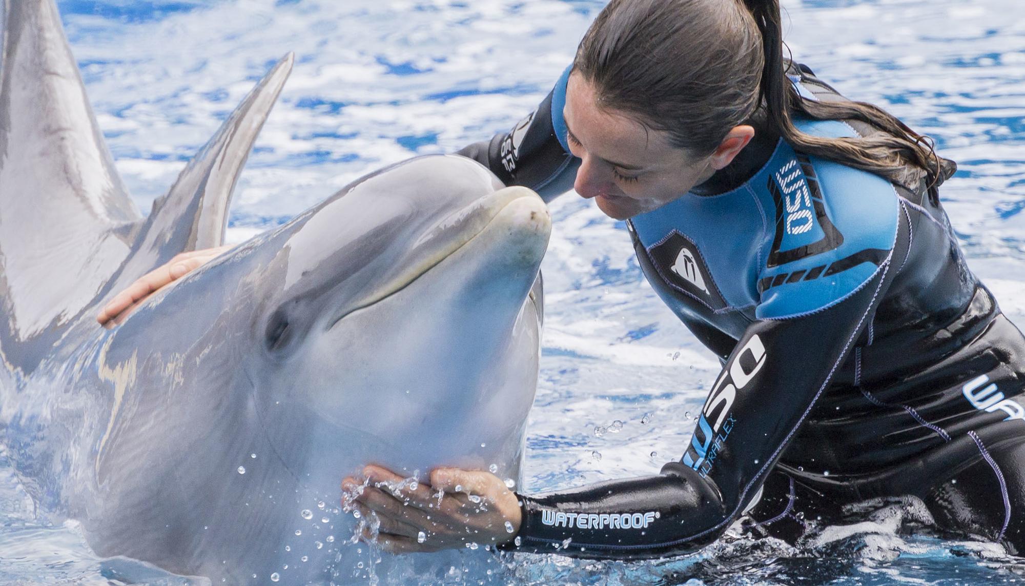 Delfin Zoo Madrid