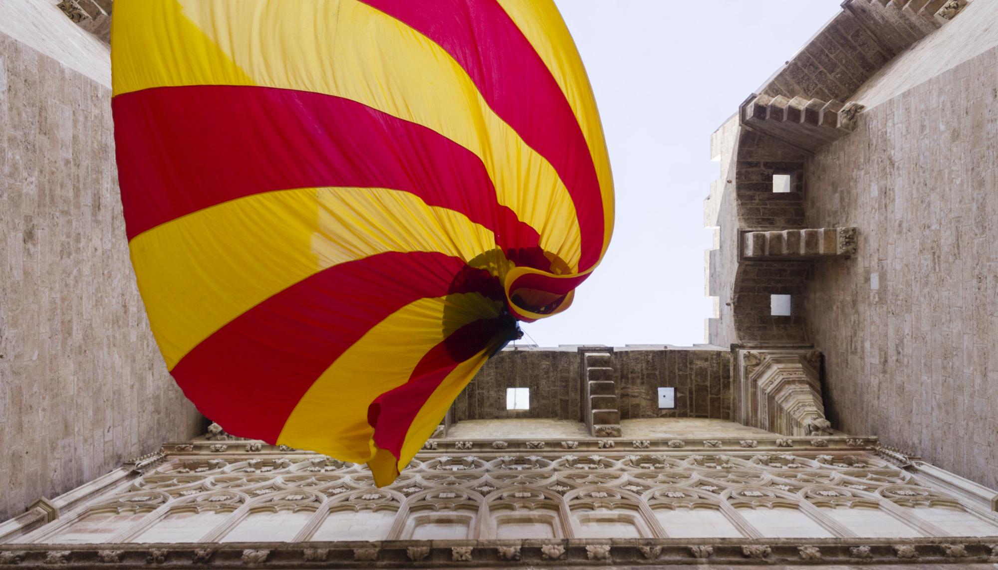 Diada País Valencià 2020 - 10