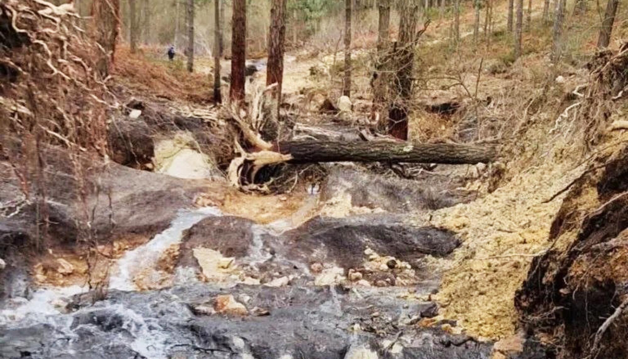 vertedura monte neme