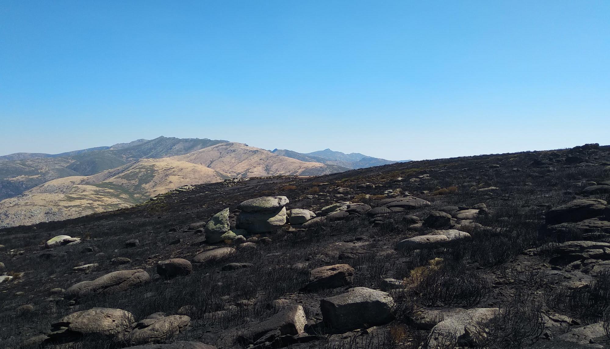 Incendio de la Vera 3