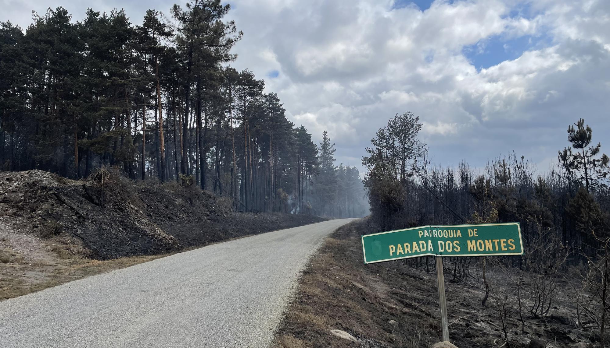 Incendios Courel - 8