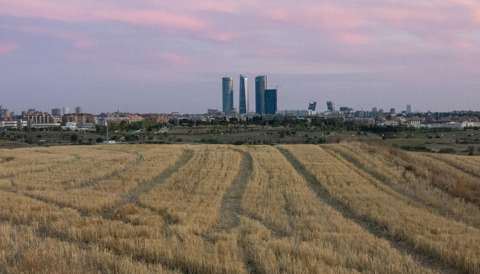 Varios Madrid Pardo  - 3