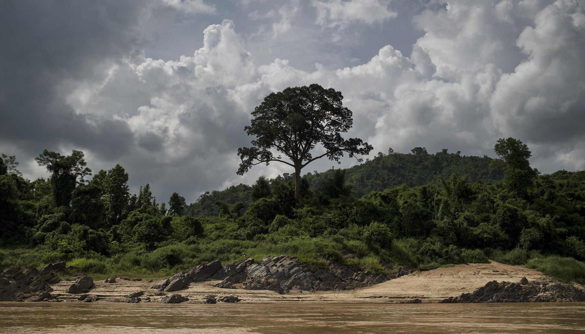 Rio Mekong