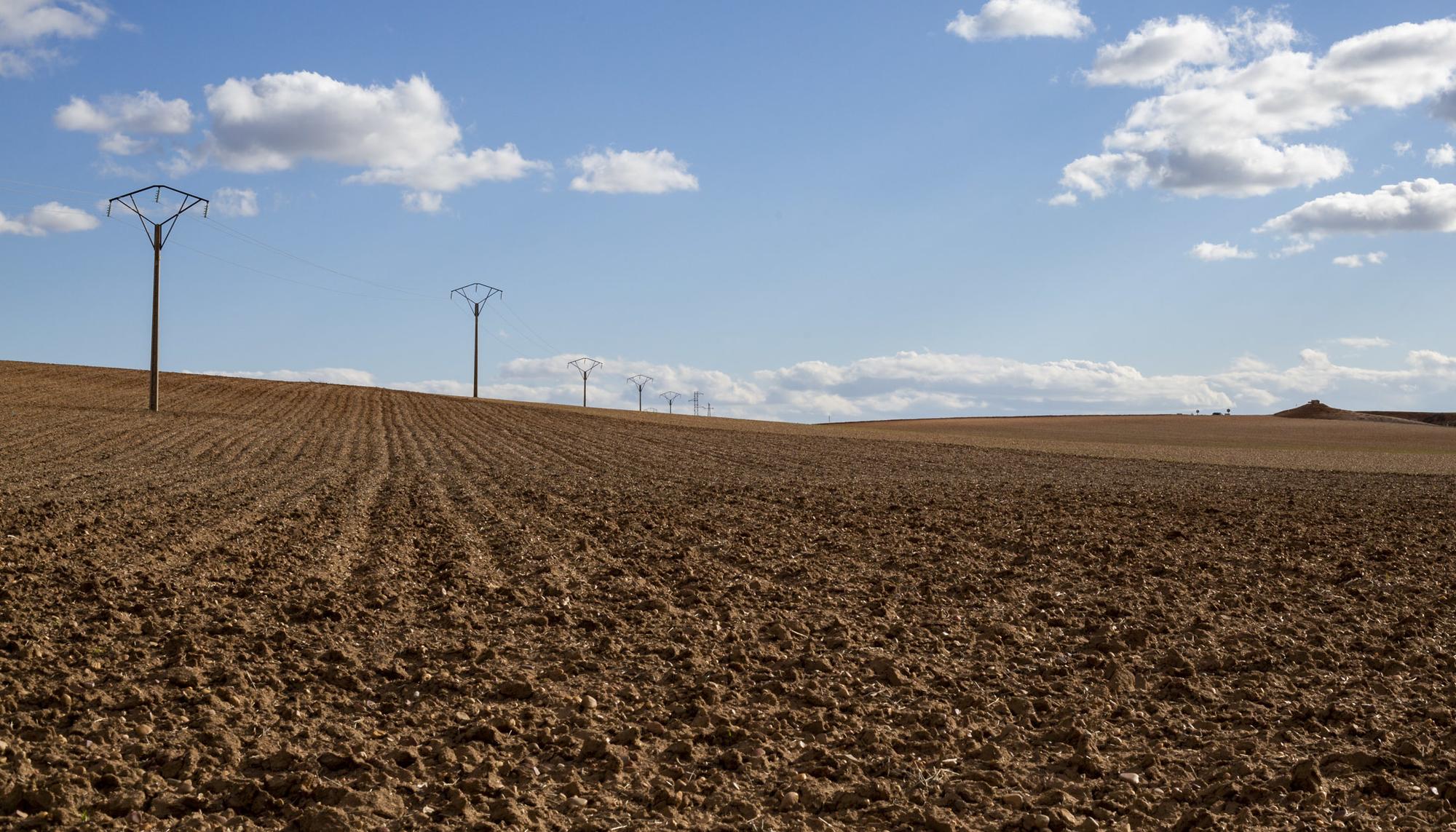 Campo de Castilla