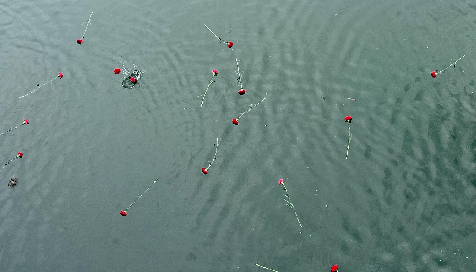 Rosas en el Bidasoa paso de migrantes