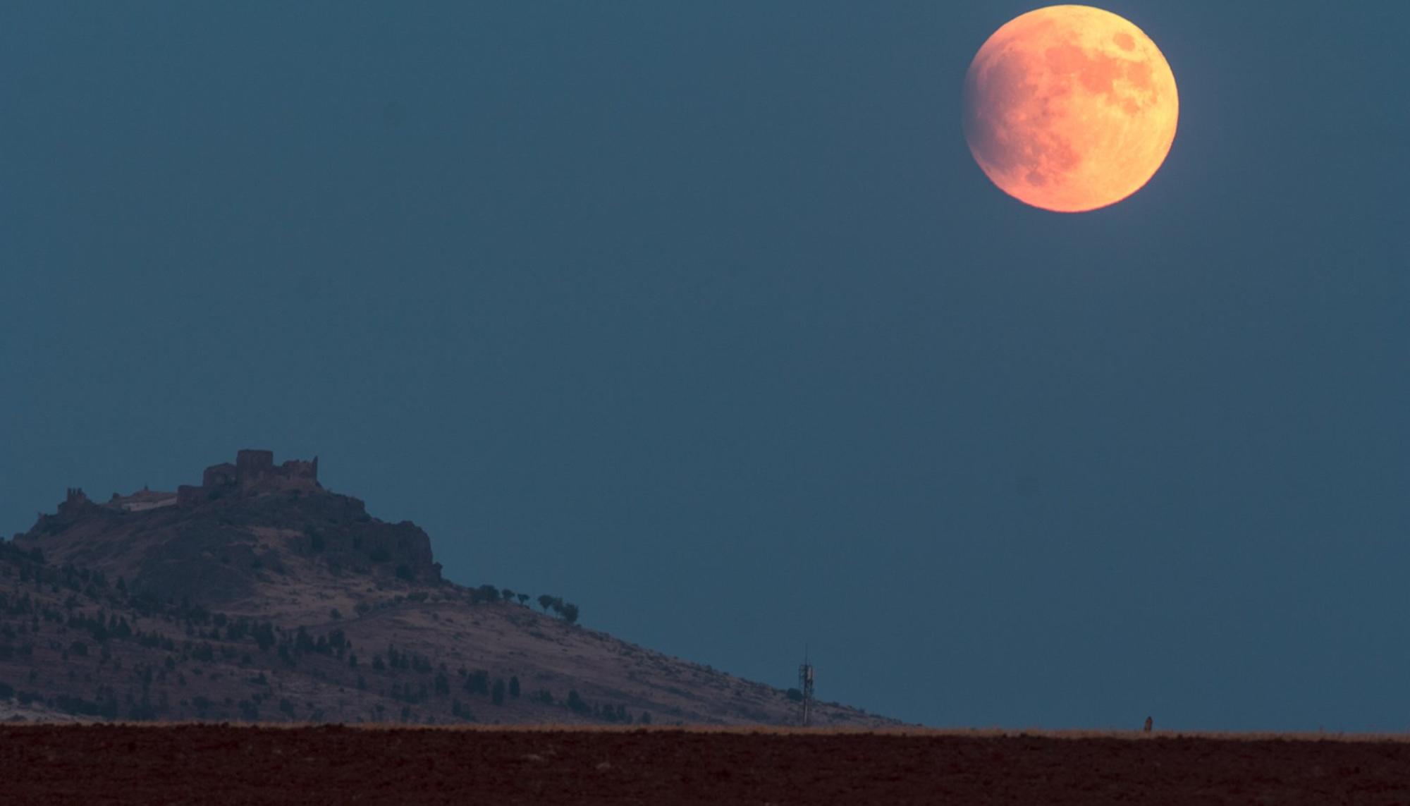 Noche. Luna. Naturaleza